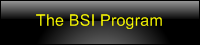 BSI Program